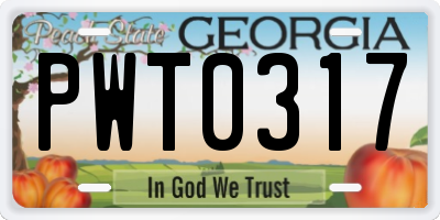 GA license plate PWT0317