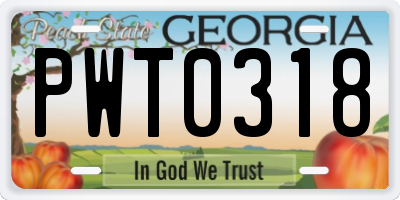 GA license plate PWT0318