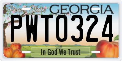 GA license plate PWT0324