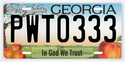 GA license plate PWT0333