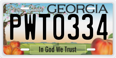 GA license plate PWT0334