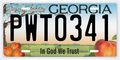 GA license plate PWT0341