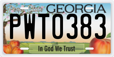 GA license plate PWT0383