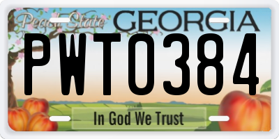 GA license plate PWT0384