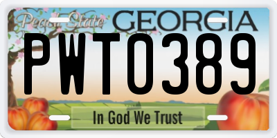 GA license plate PWT0389