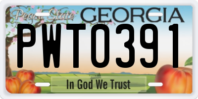 GA license plate PWT0391