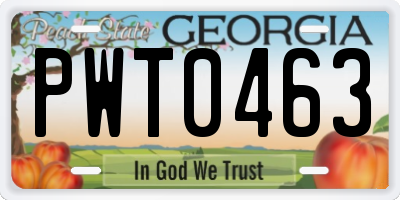 GA license plate PWT0463