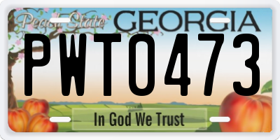 GA license plate PWT0473