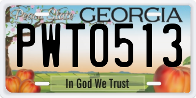 GA license plate PWT0513