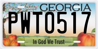 GA license plate PWT0517