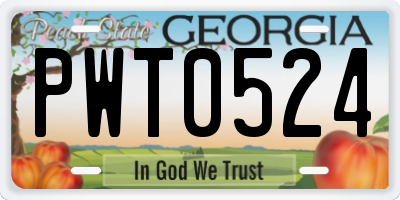 GA license plate PWT0524