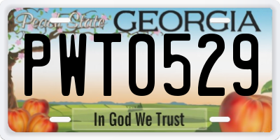 GA license plate PWT0529