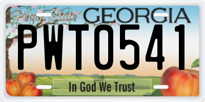 GA license plate PWT0541