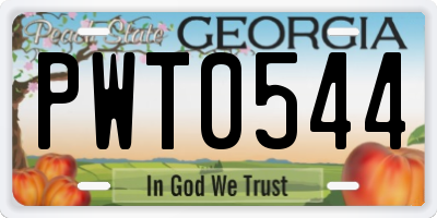 GA license plate PWT0544