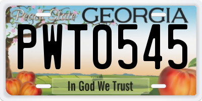 GA license plate PWT0545