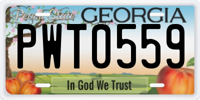 GA license plate PWT0559