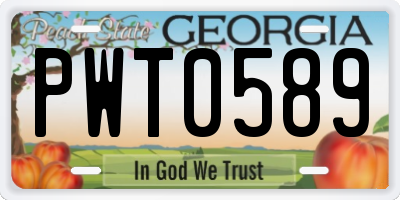 GA license plate PWT0589