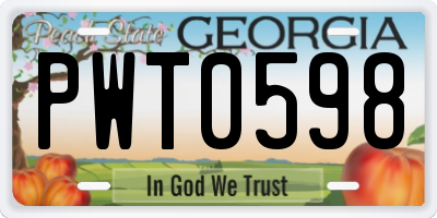 GA license plate PWT0598
