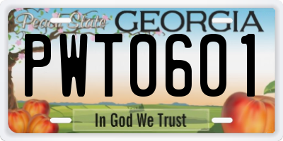 GA license plate PWT0601