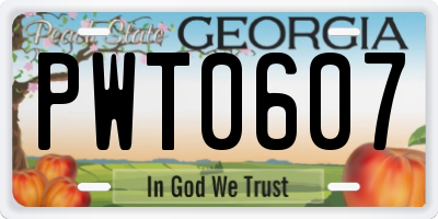 GA license plate PWT0607