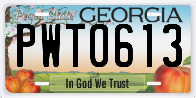 GA license plate PWT0613