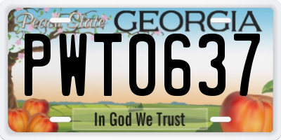 GA license plate PWT0637