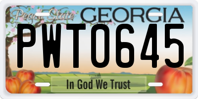 GA license plate PWT0645