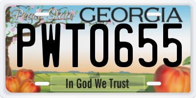 GA license plate PWT0655