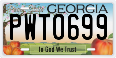 GA license plate PWT0699