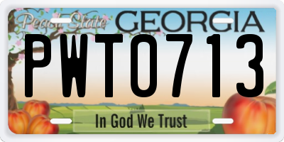 GA license plate PWT0713