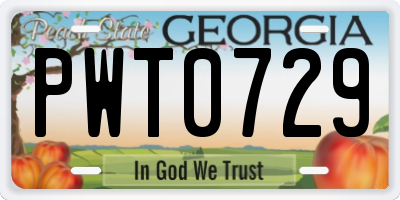GA license plate PWT0729