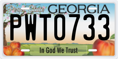GA license plate PWT0733