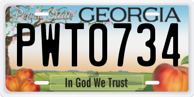 GA license plate PWT0734