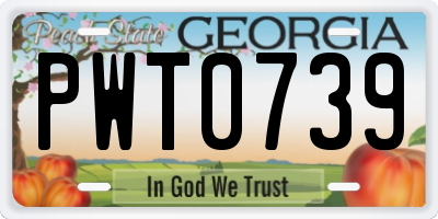 GA license plate PWT0739