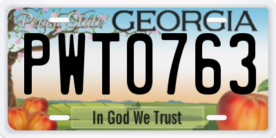 GA license plate PWT0763