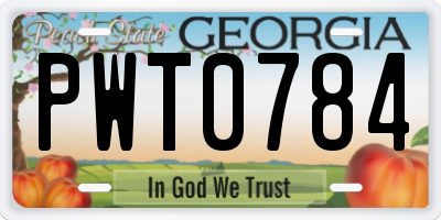 GA license plate PWT0784