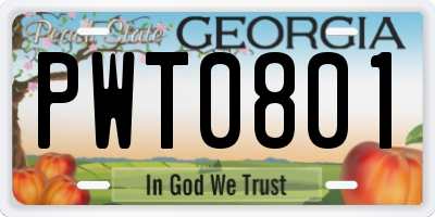 GA license plate PWT0801