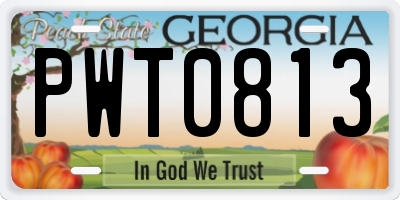 GA license plate PWT0813