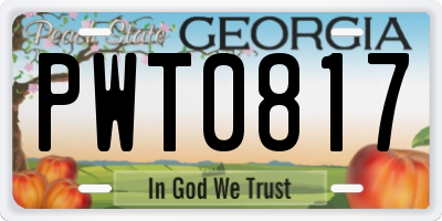 GA license plate PWT0817