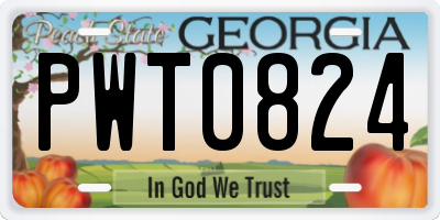 GA license plate PWT0824