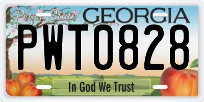 GA license plate PWT0828