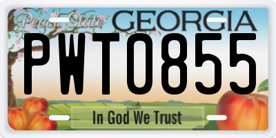 GA license plate PWT0855