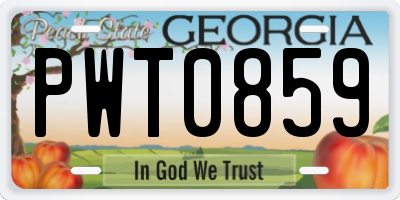 GA license plate PWT0859