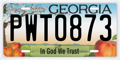 GA license plate PWT0873
