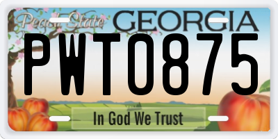 GA license plate PWT0875