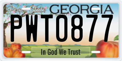 GA license plate PWT0877