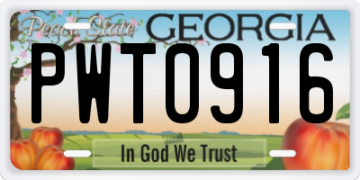 GA license plate PWT0916