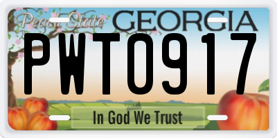 GA license plate PWT0917