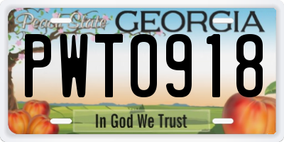 GA license plate PWT0918