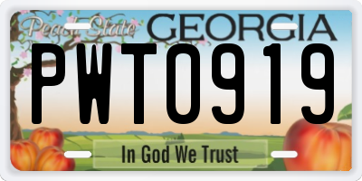 GA license plate PWT0919